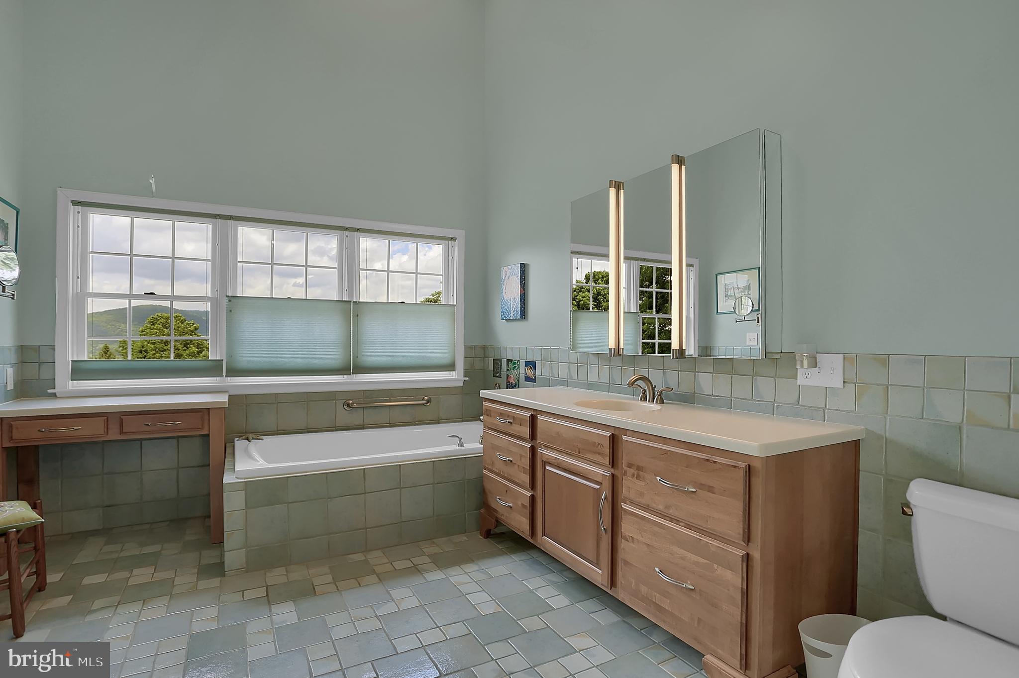 11604 Woodhaven Road Waynesboro, PA 17268 - Photo 25 of 76 Soaking Tub