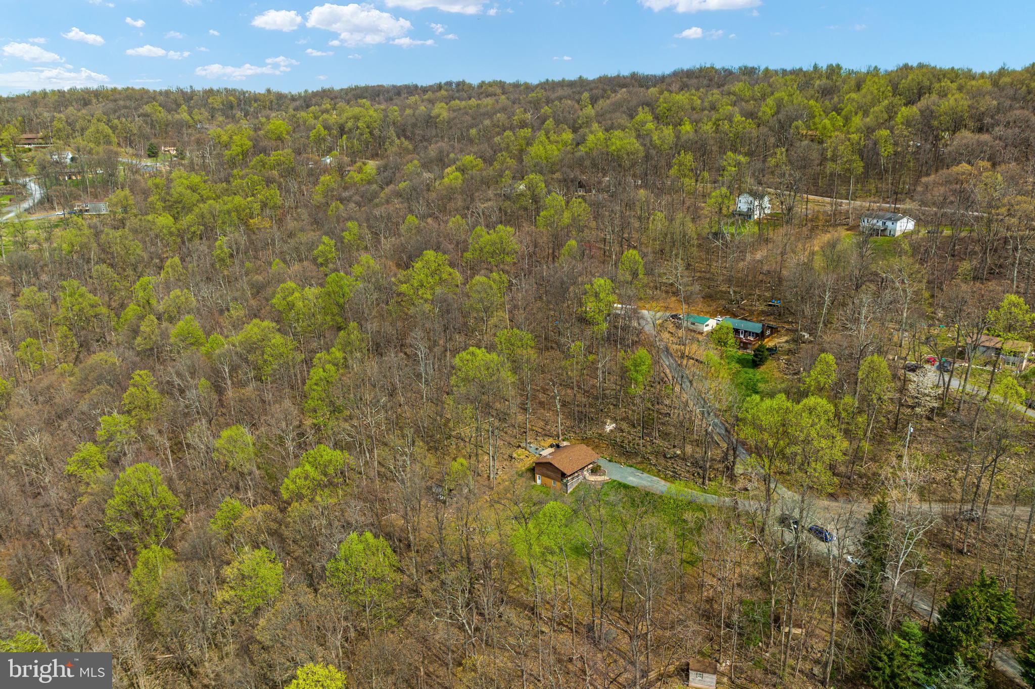 475 Parkside Road Linden, VA 22642 - Photo 34 of 37 Away from it all