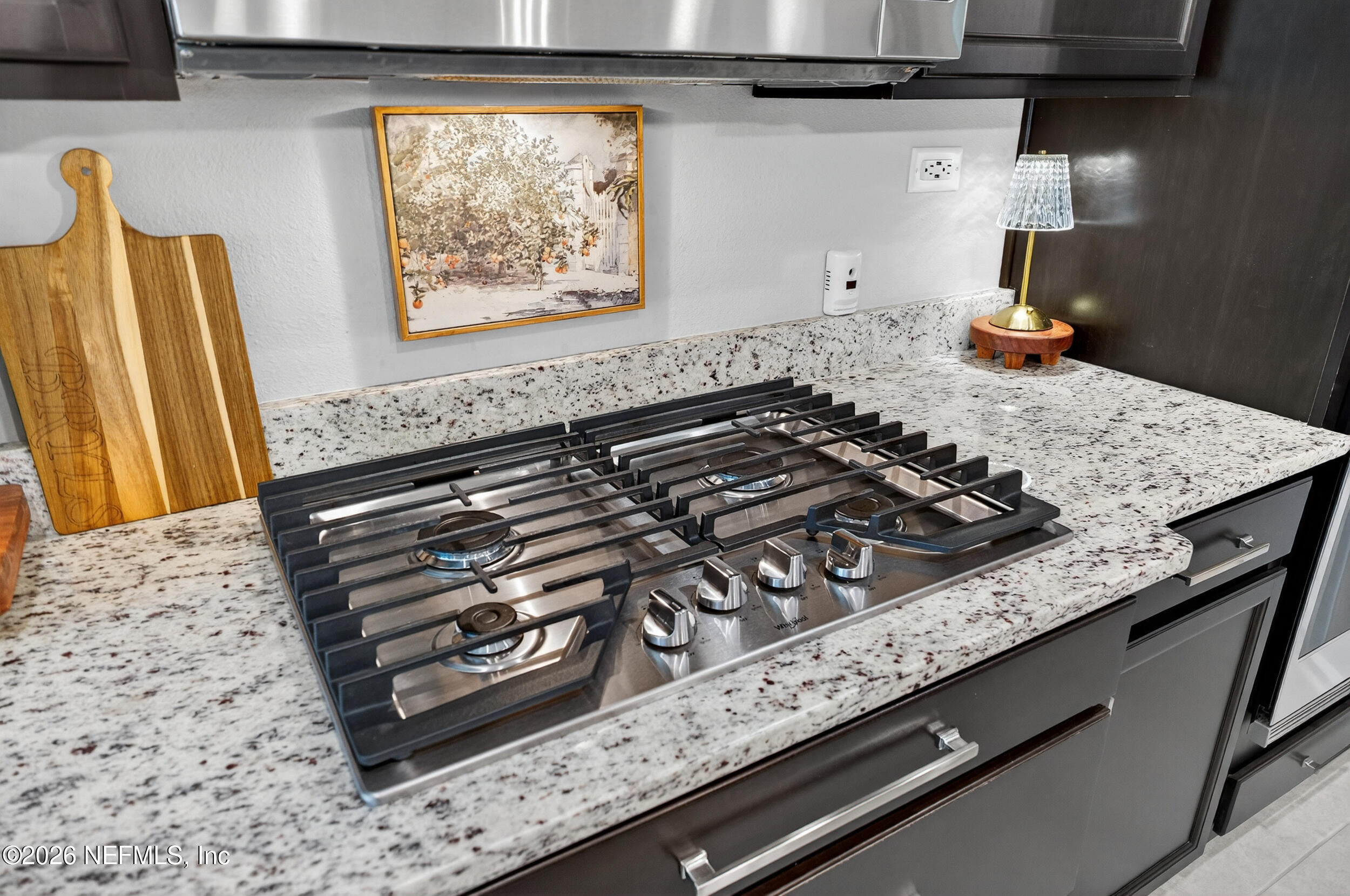 688 Sycamore Way Orange Park, FL 32073 - Photo 23 of 58 38_688 sycamore wy-41