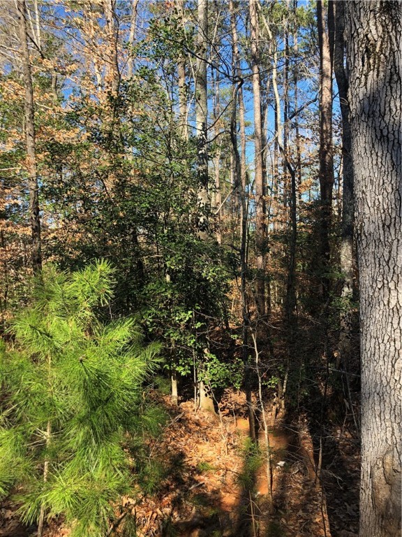 Lot 8 Narrow Way Walhalla, SC 29691 - Photo 11 of 12 Gallery Image 11