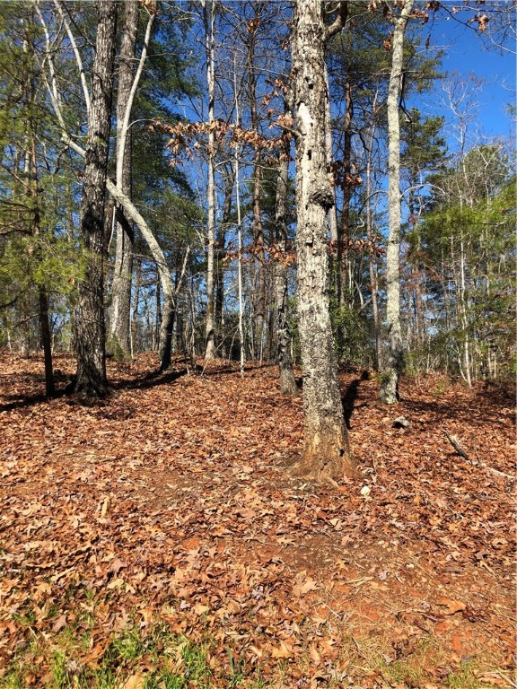 Lot 8 Narrow Way Walhalla, SC 29691 - Photo 6 of 12 Gallery Image 6