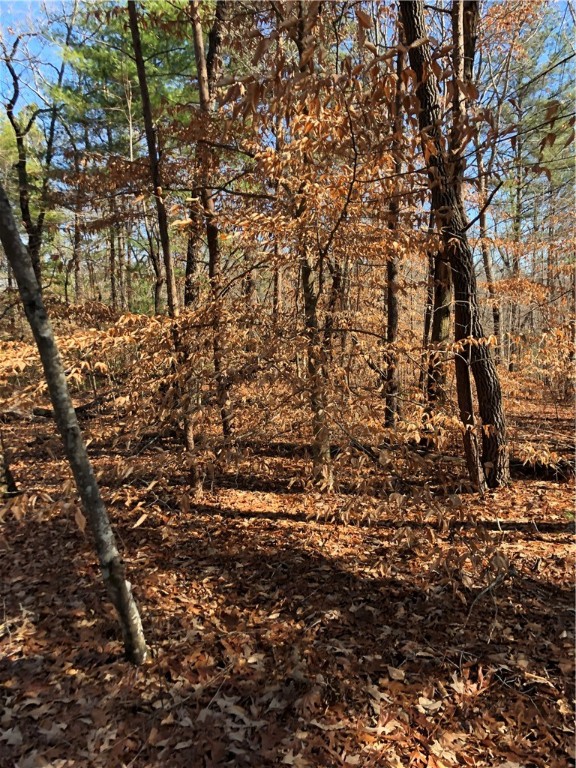 Lot 8 Narrow Way Walhalla, SC 29691 - Photo 8 of 12 Gallery Image 8