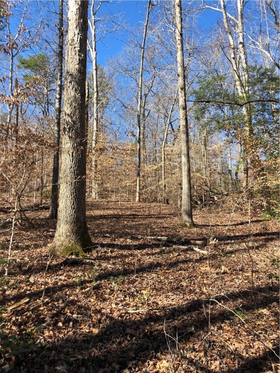 Lot 8 Narrow Way Walhalla, SC 29691 - Photo 10 of 12 Gallery Image 10