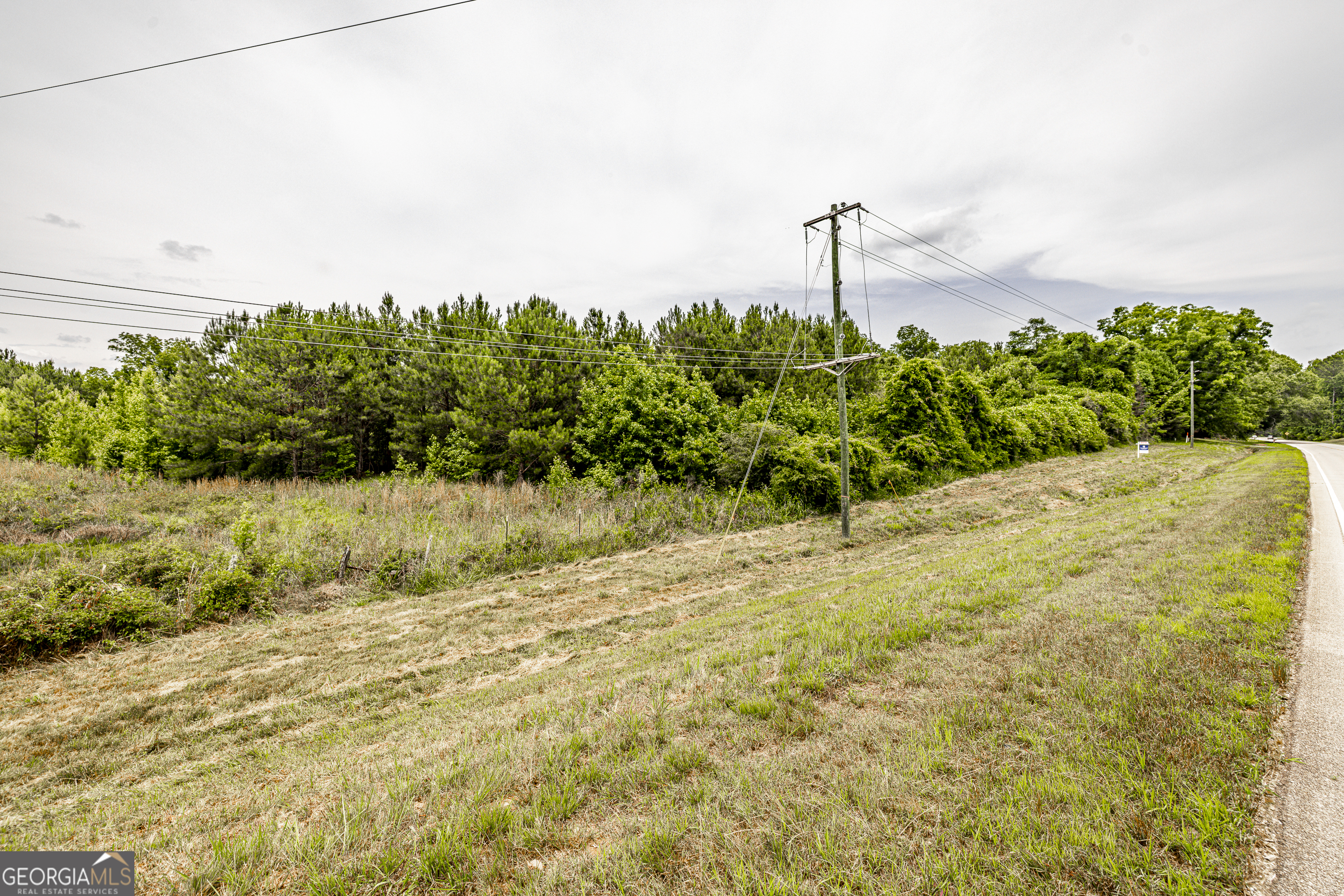 0 Washington Highway Union Point, GA 30669 - Photo 13 of 22