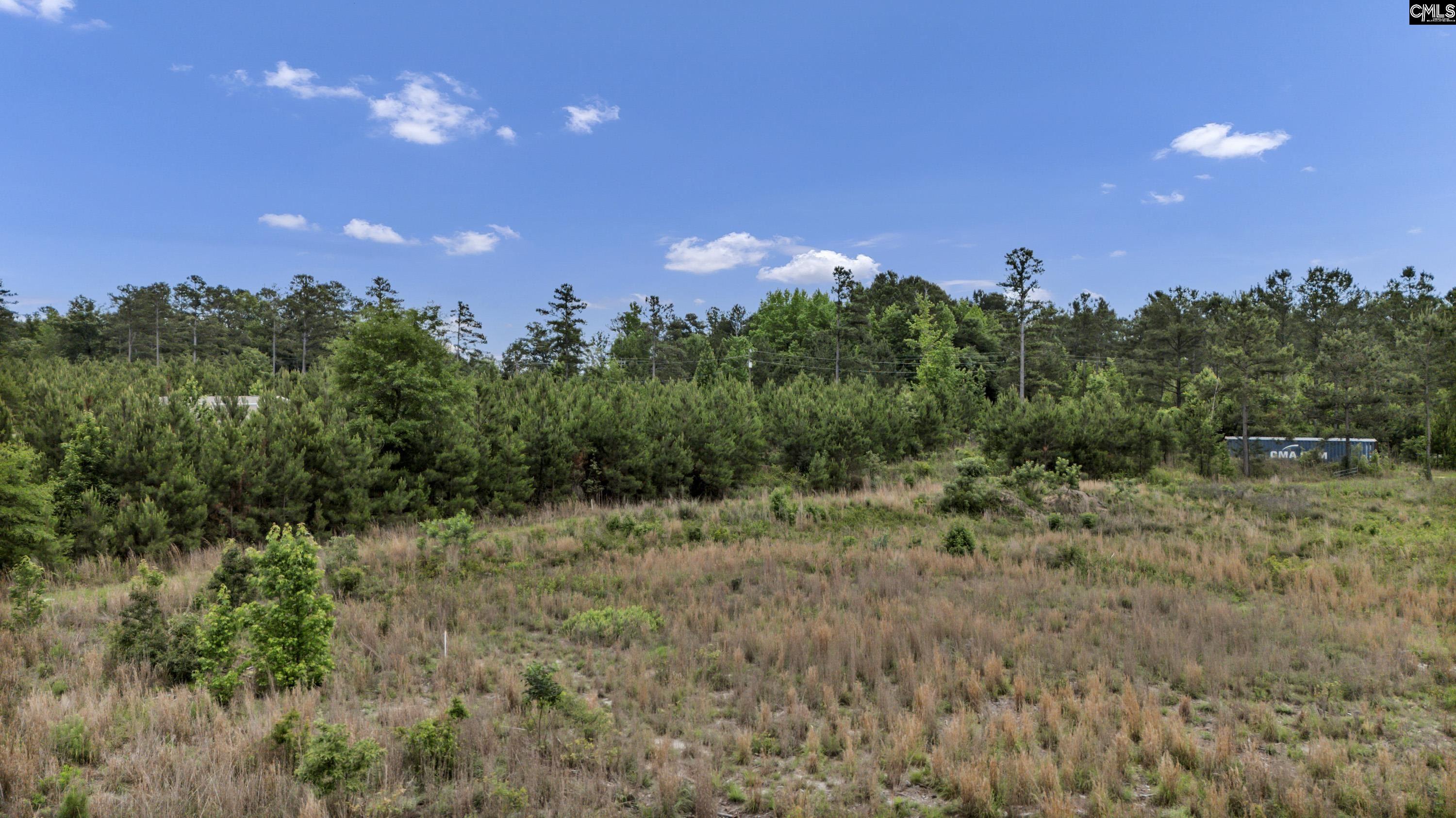 Na Bull Swamp Road North, SC 29112 - Photo 4 of 28