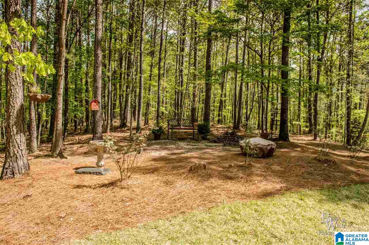 144 Chestnut Lane Helena, AL 35080 - Photo 31 of 35