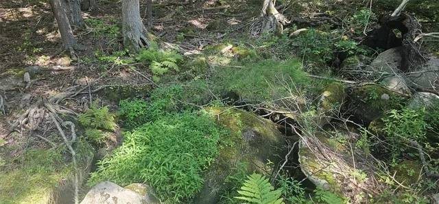 $144,000 | 145 Echo Road, Glocester, RI 02814