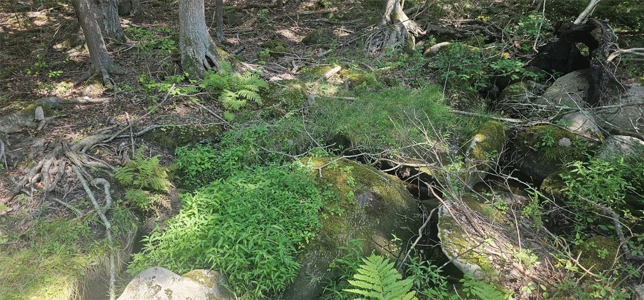 145 Echo Road Glocester, RI 02814 - Photo 31 of 32