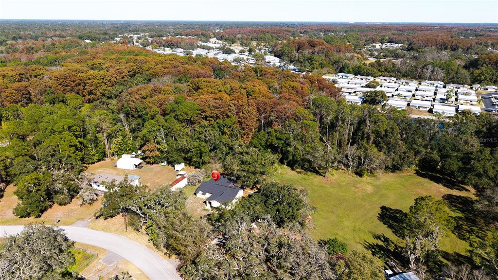 10960 Echo Loop New Port Richey, FL 34654 - Photo 36 of 38