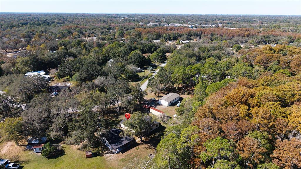 10960 Echo Loop New Port Richey, FL 34654 - Photo 37 of 38 an aerial view of a houses with a lush green hillside