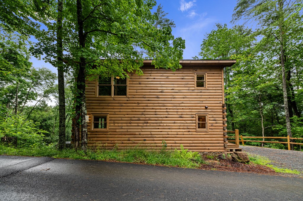 231 Conley Branch Road Blue Ridge, GA 30513 - Photo 17 of 52 Gallery Image 17
