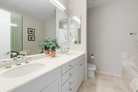 $900,000 | 1816 South Indiana Avenue, Unit D, Chicago, IL 60616