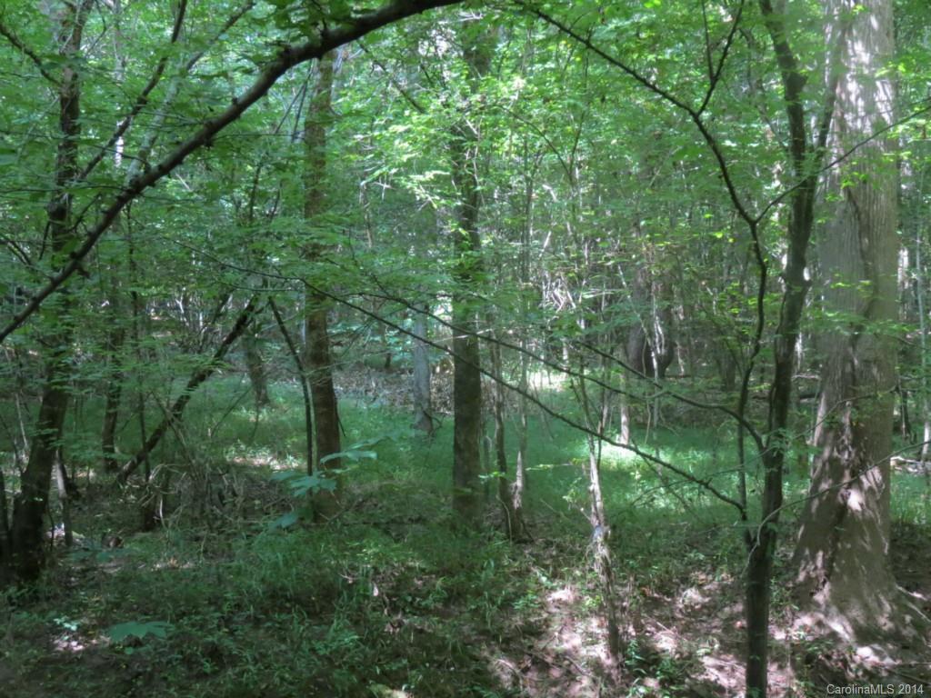 7-acres Strait Road Rock Hill, SC 29730 - Photo 16 of 20 Gallery Image 16