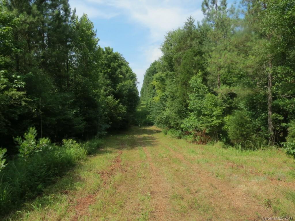 7-acres Strait Road Rock Hill, SC 29730 - Photo 3 of 20 Gallery Image 3