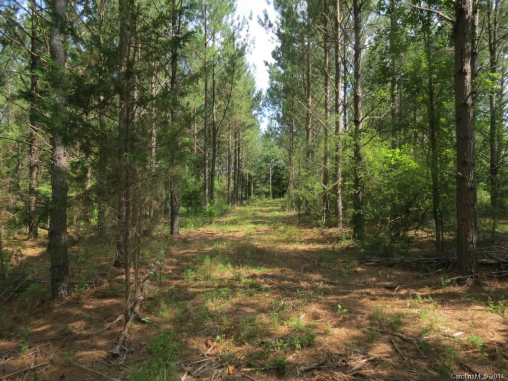 7-acres Strait Road Rock Hill, SC 29730 - Photo 7 of 20 Gallery Image 7