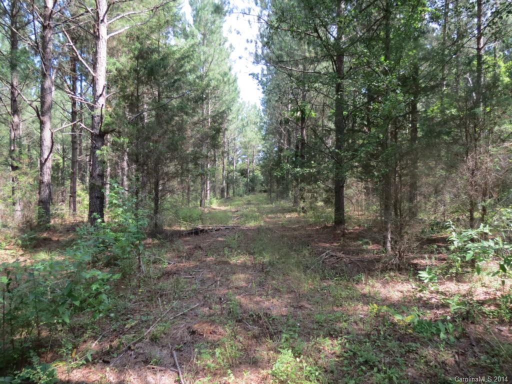 7-acres Strait Road Rock Hill, SC 29730 - Photo 8 of 20 Gallery Image 8