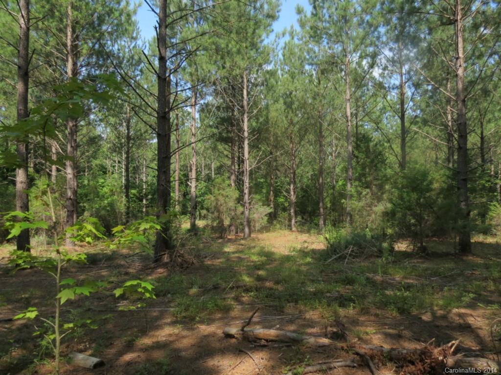 7-acres Strait Road Rock Hill, SC 29730 - Photo 10 of 20 Gallery Image 10