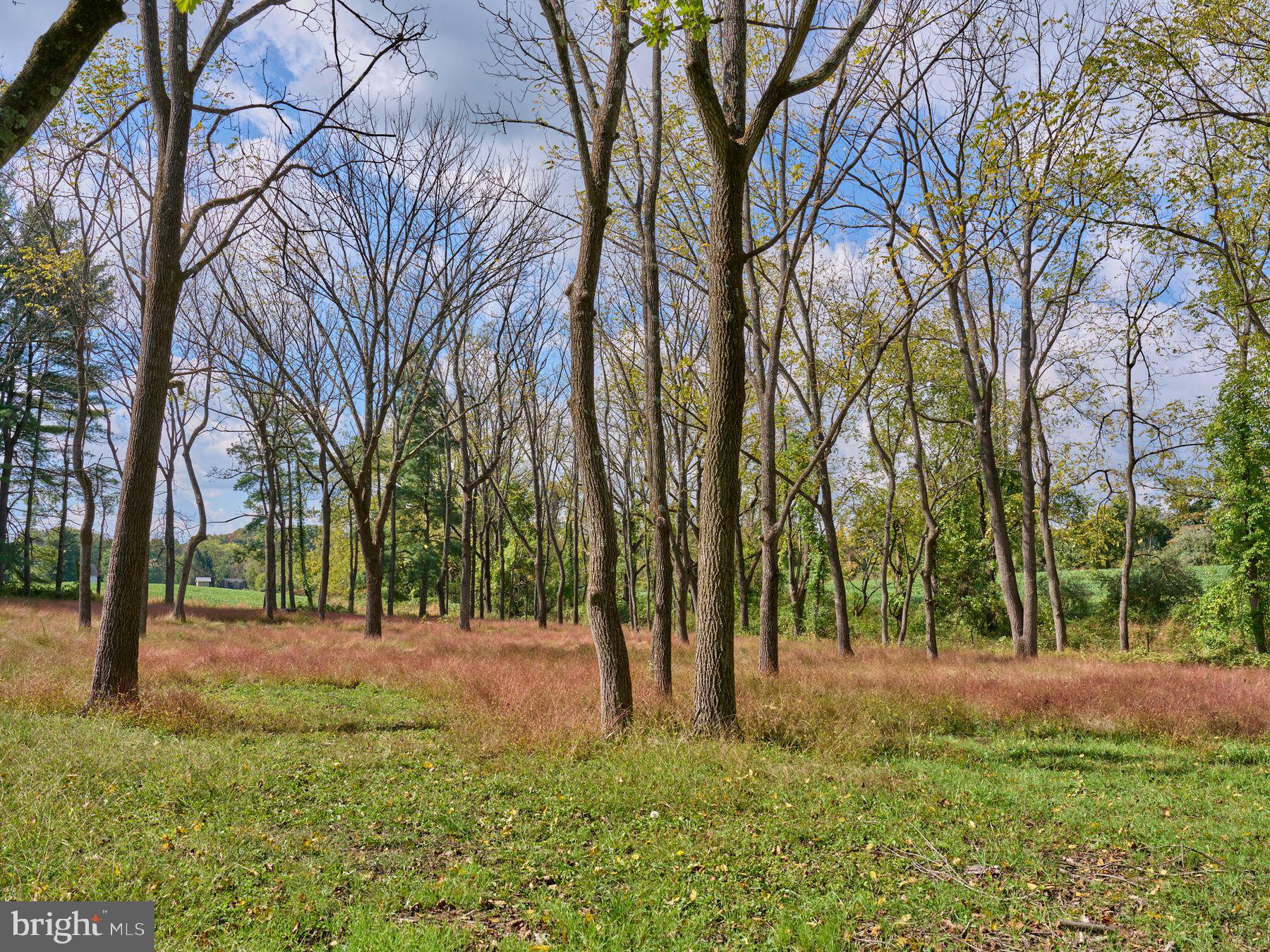6321 Saw Mill Road Doylestown, PA 18933 - Photo 1 of 20 6321 Saw Mill Rd New Hope PA