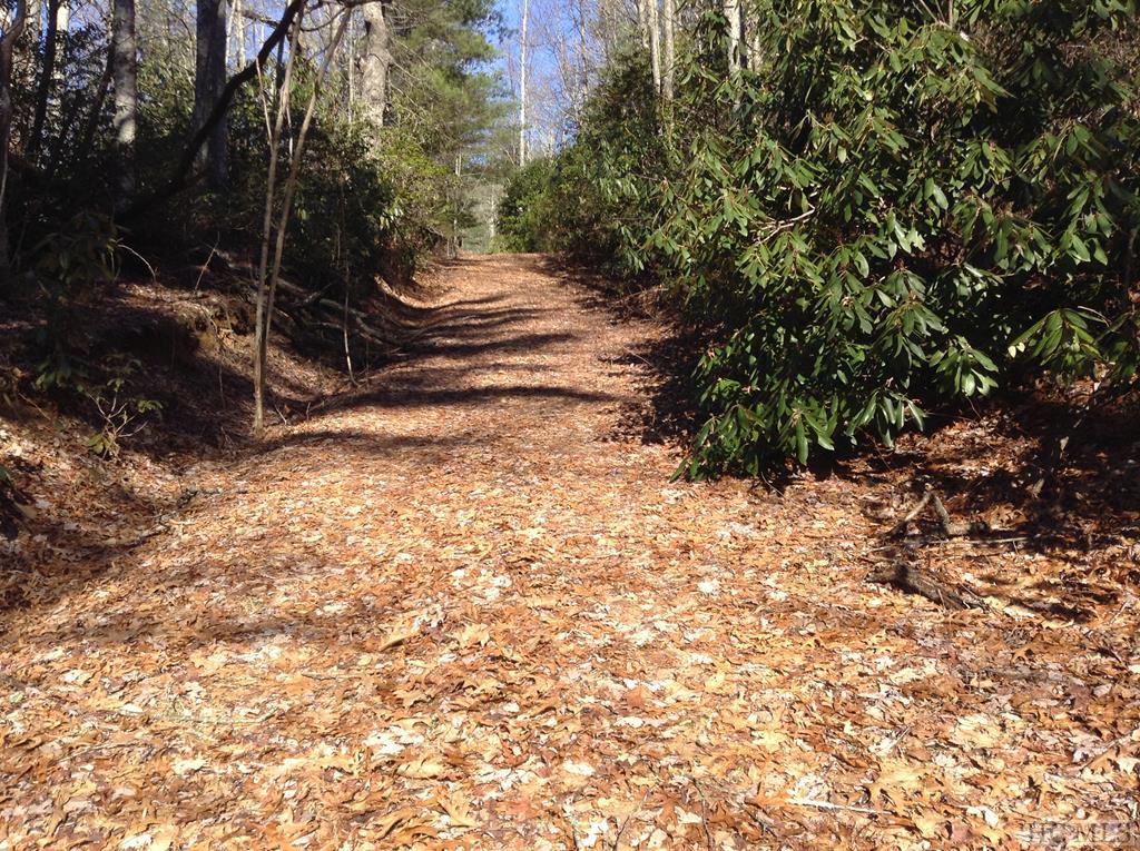 Lot 8 Whitewater Rdg Road Maggie Valley, NC 28751 - Photo 8 of 12 Gallery Image 8