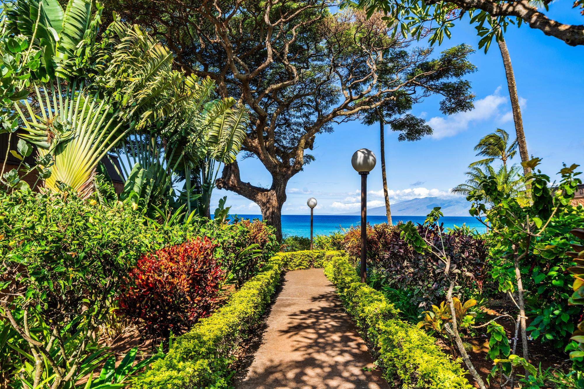 3959 Lower Honoapiilani Road, Unit 417 Lahaina, HI 96761 - Photo 21 of 37 Gallery Image 21