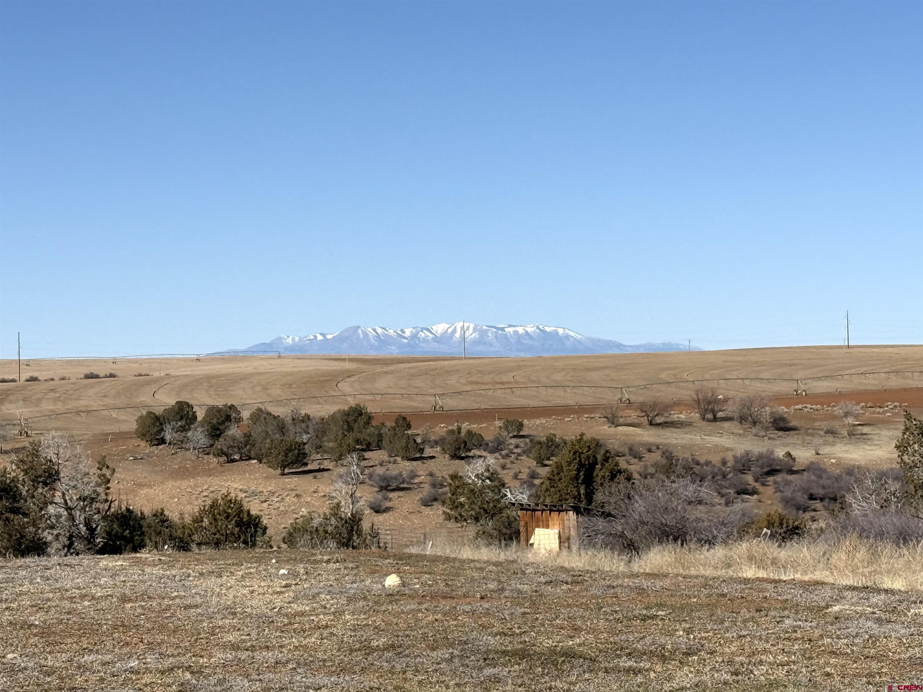 15546 Rd BB Pleasant View, CO 81331 - Photo 24 of 29 an aerial view of mountain with trees