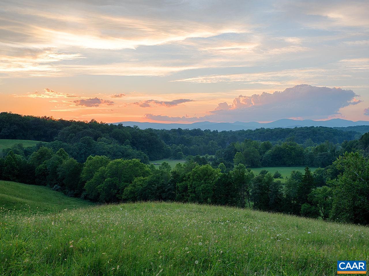 1825 Locust Grove Church Road Orange, VA 22960 - Photo 28 of 68 a view of a lush green hillside and a houses