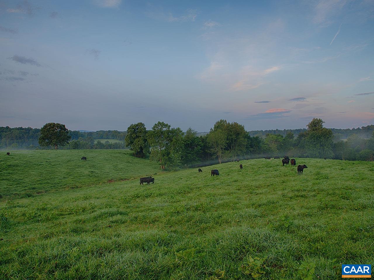 1825 Locust Grove Church Road Orange, VA 22960 - Photo 33 of 68