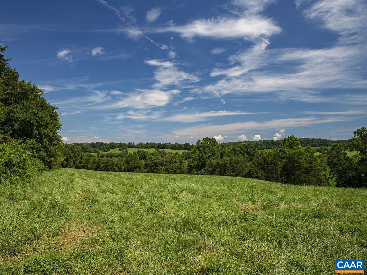 1825 Locust Grove Church Road Orange, VA 22960 - Photo 42 of 68 a view of a garden