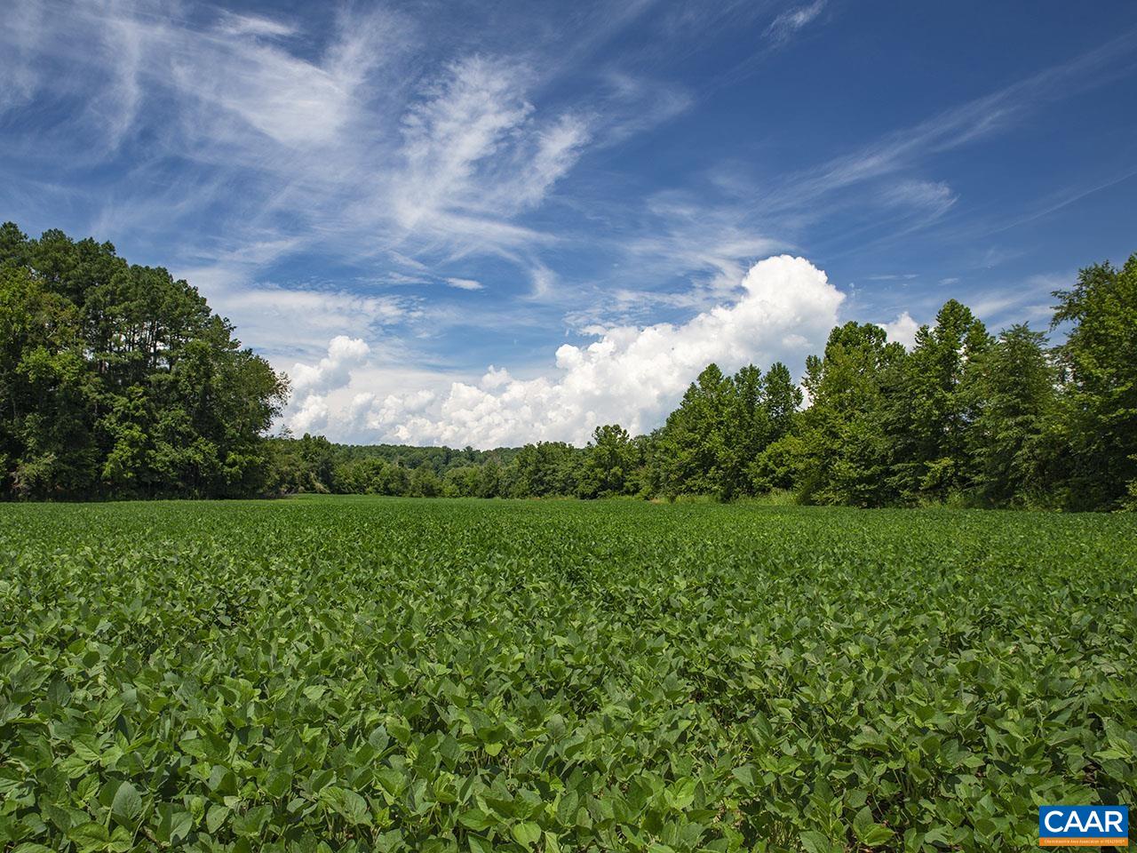 1825 Locust Grove Church Road Orange, VA 22960 - Photo 48 of 68 a view of a green yard