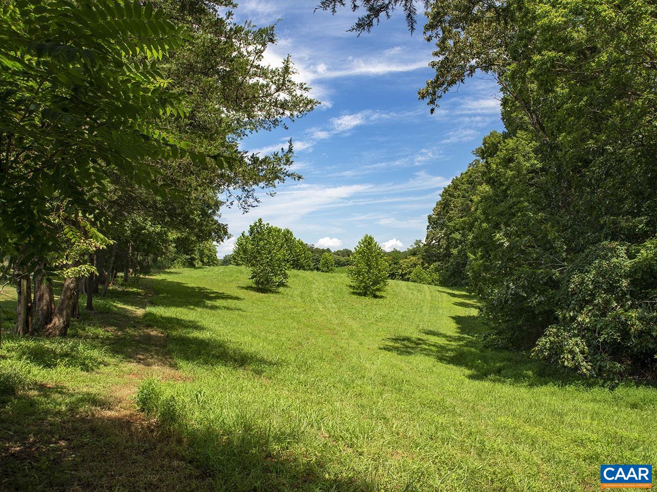 1825 Locust Grove Church Road Orange, VA 22960 - Photo 49 of 68 a view of an outdoor space and a yard