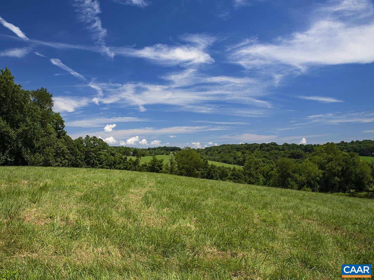 1825 Locust Grove Church Road Orange, VA 22960 - Photo 51 of 68