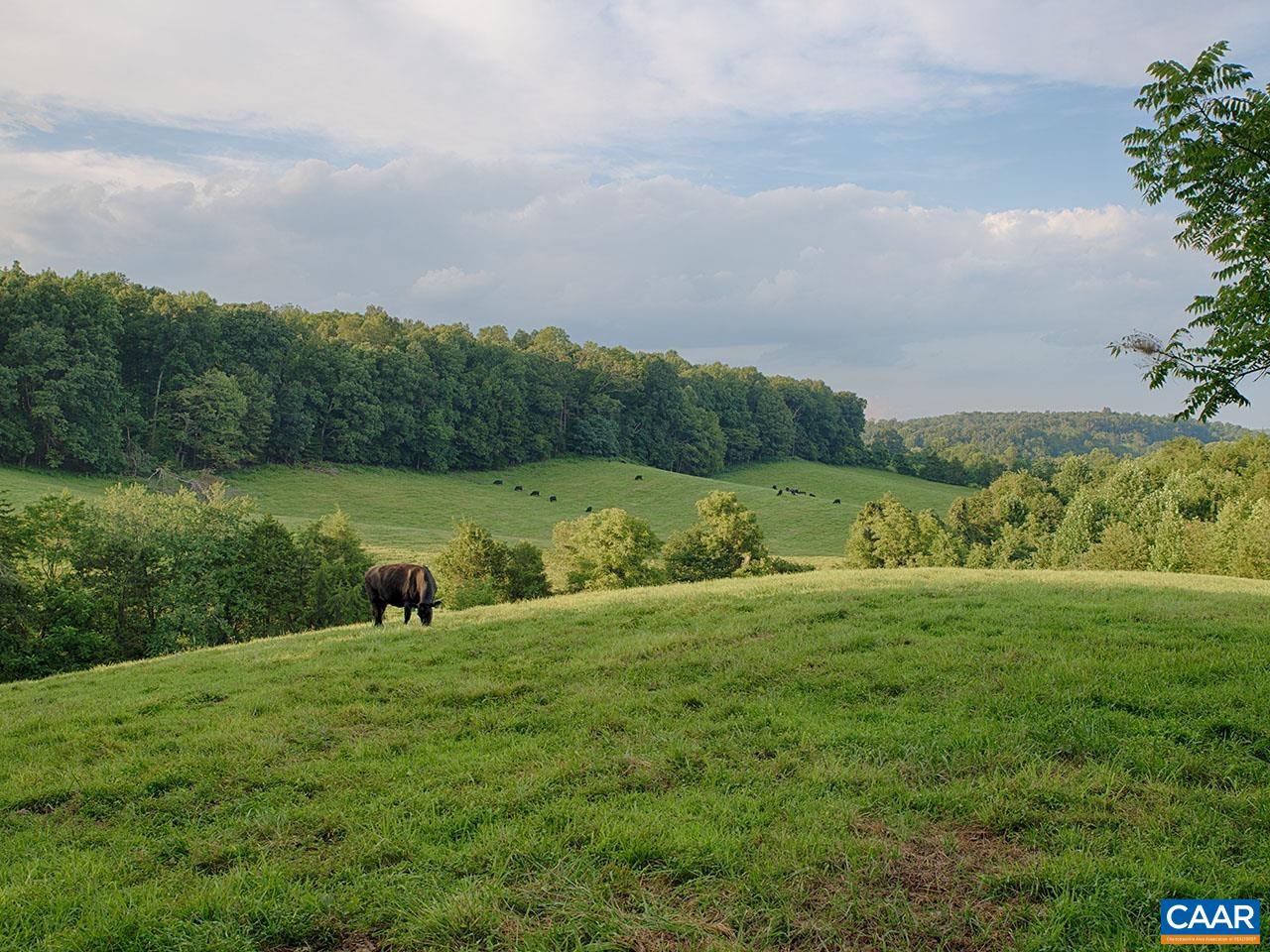 1825 Locust Grove Church Road Orange, VA 22960 - Photo 53 of 68 a view of grassy field with trees