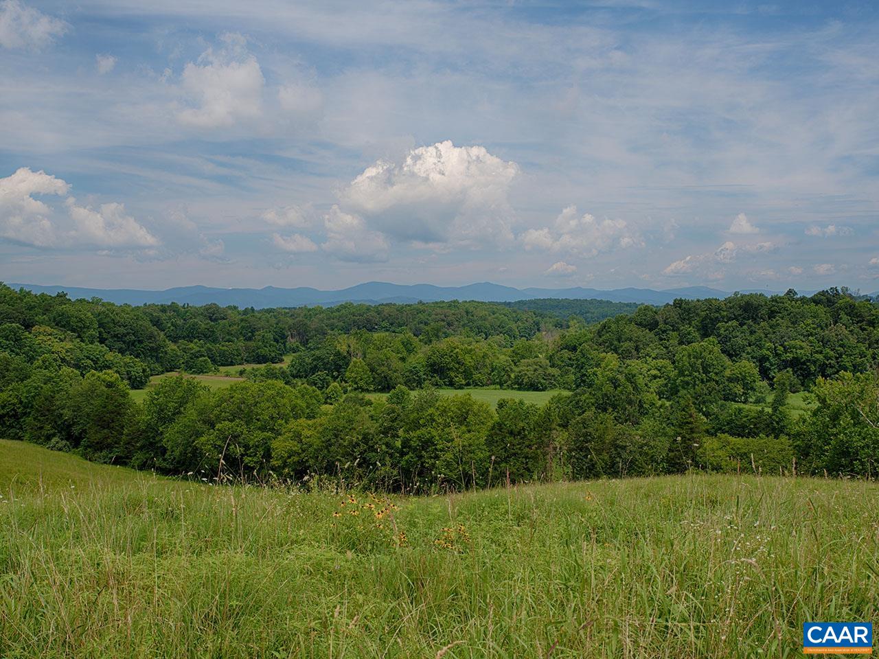 1825 Locust Grove Church Road Orange, VA 22960 - Photo 54 of 68 a view of a big yard of grass and basketball court
