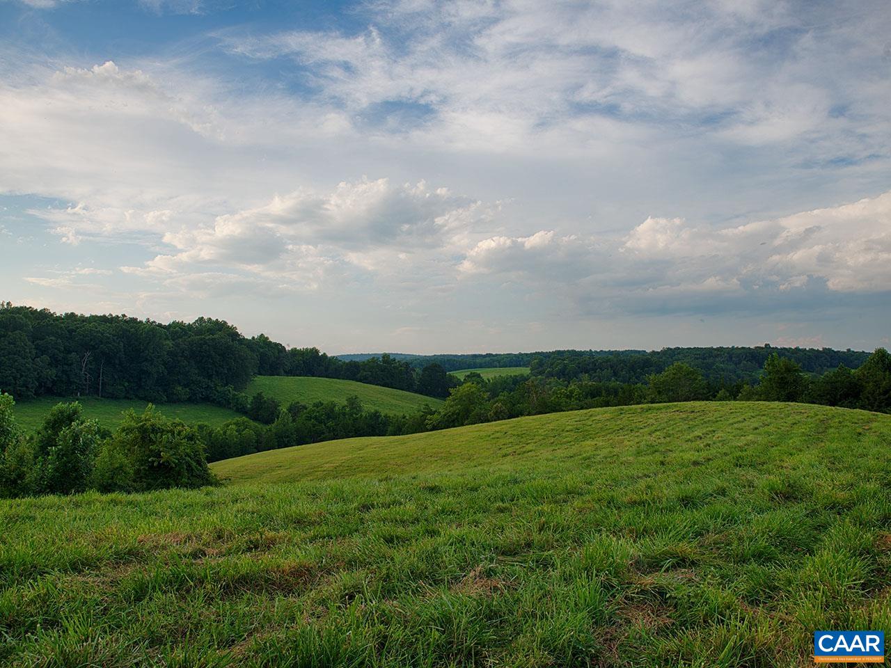 1825 Locust Grove Church Road Orange, VA 22960 - Photo 57 of 68