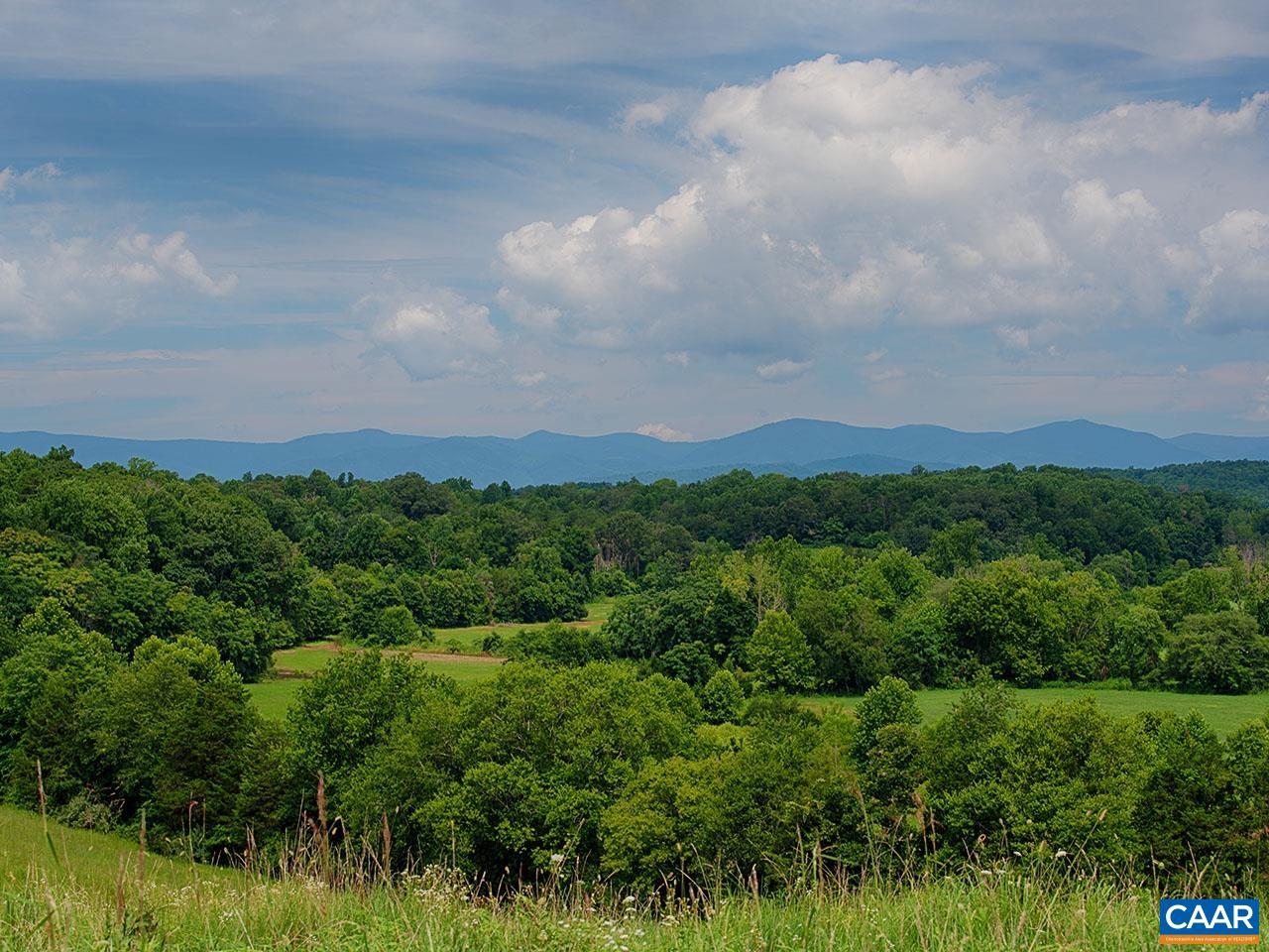 1825 Locust Grove Church Road Orange, VA 22960 - Photo 58 of 68 a view of a bunch of trees in a field