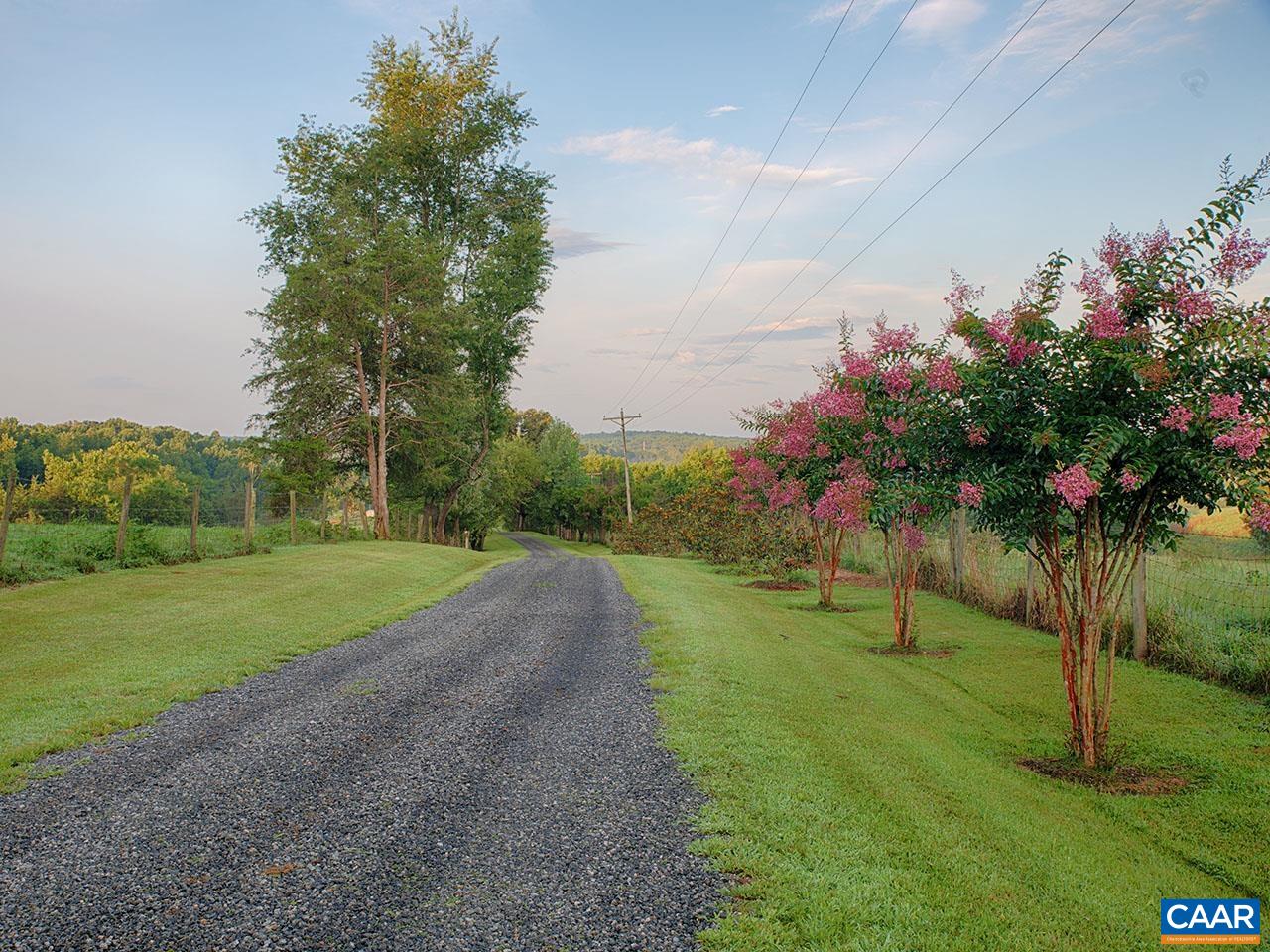 1825 Locust Grove Church Road Orange, VA 22960 - Photo 67 of 68 a big yard with lots of green space and palm trees
