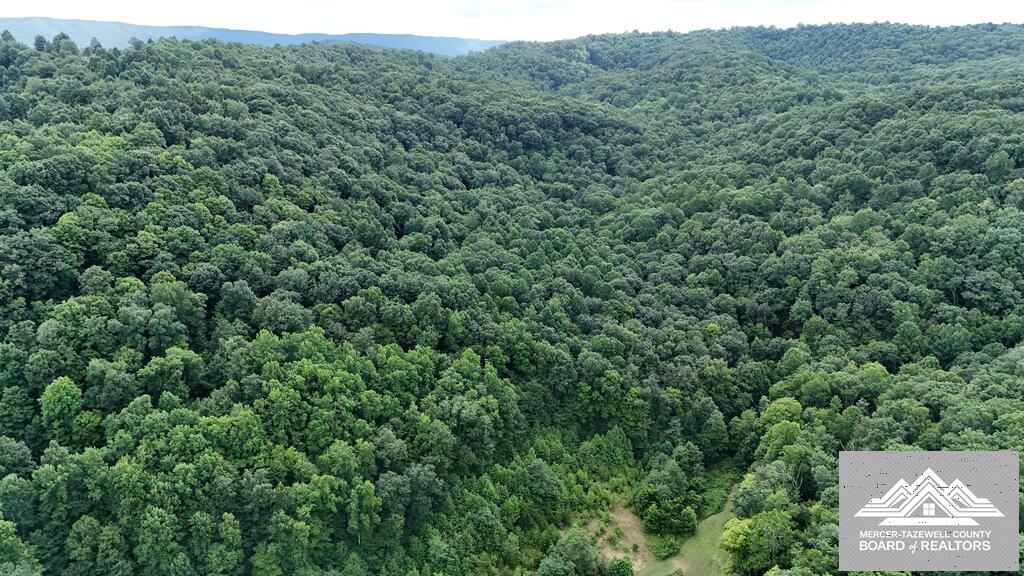 900 Hayes Valley Road Princeton, WV 24739 - Photo 16 of 36 Gallery Image 16