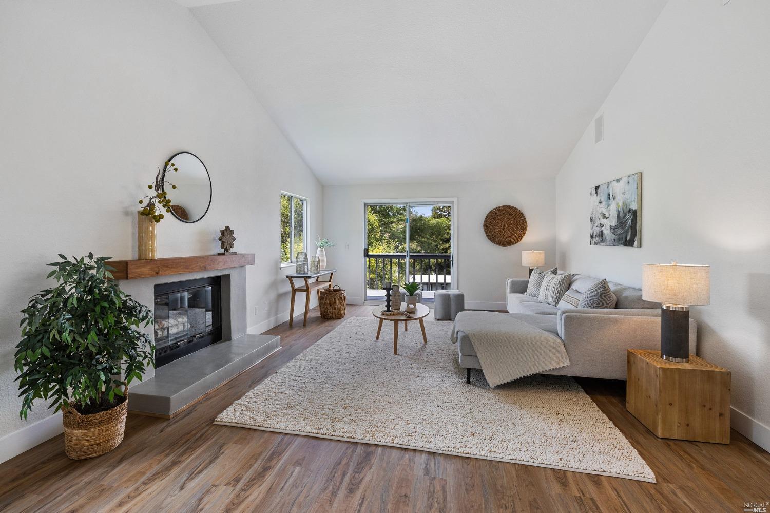 21 Albion Street San Rafael, CA 94901 - Photo 1 of 1 a living room with furniture a fireplace and a potted plant