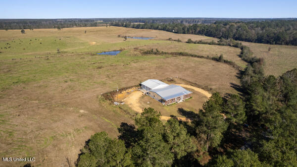 2545 Pleasant Grove Road Southeast Bogue Chitto, MS 39629 - Photo 21 of 31 011_qJes