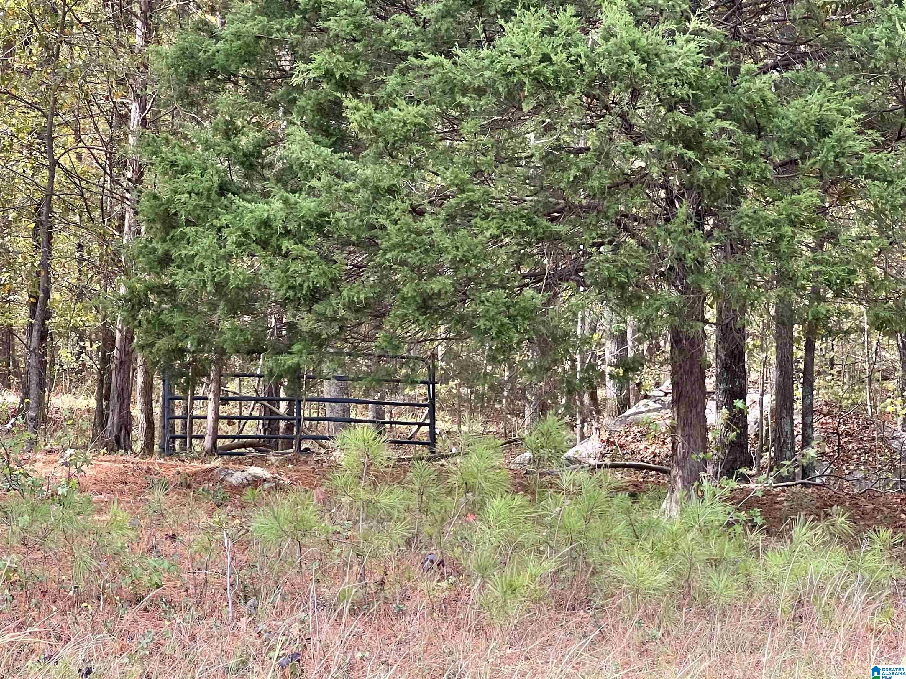 1045 A Sand Valley Road Remlap, AL 35133 - Photo 11 of 70