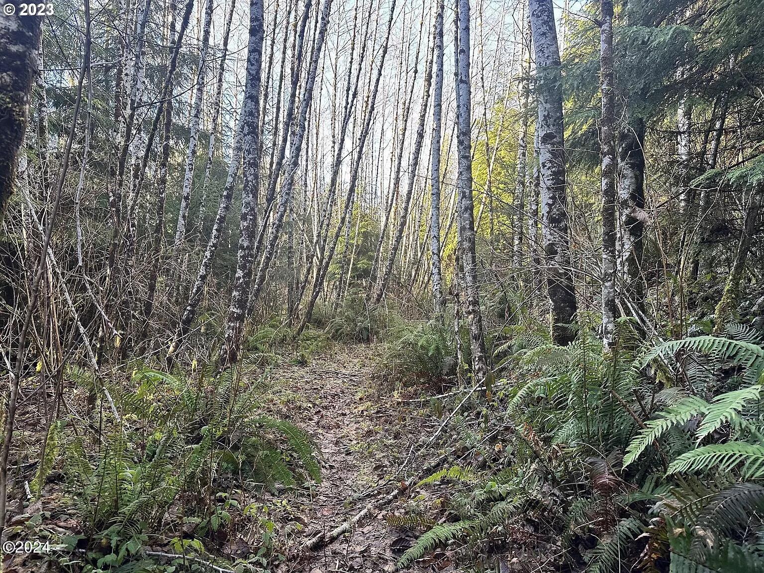 00500 North Yachats River Road Yachats, OR 97498 - Photo 1 of 1 Image