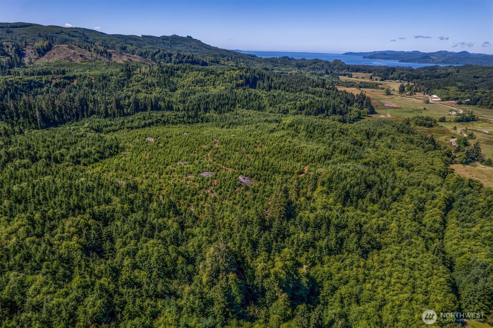 0 Eden Valley Road Rosburg, WA 98643 - Photo 2 of 14