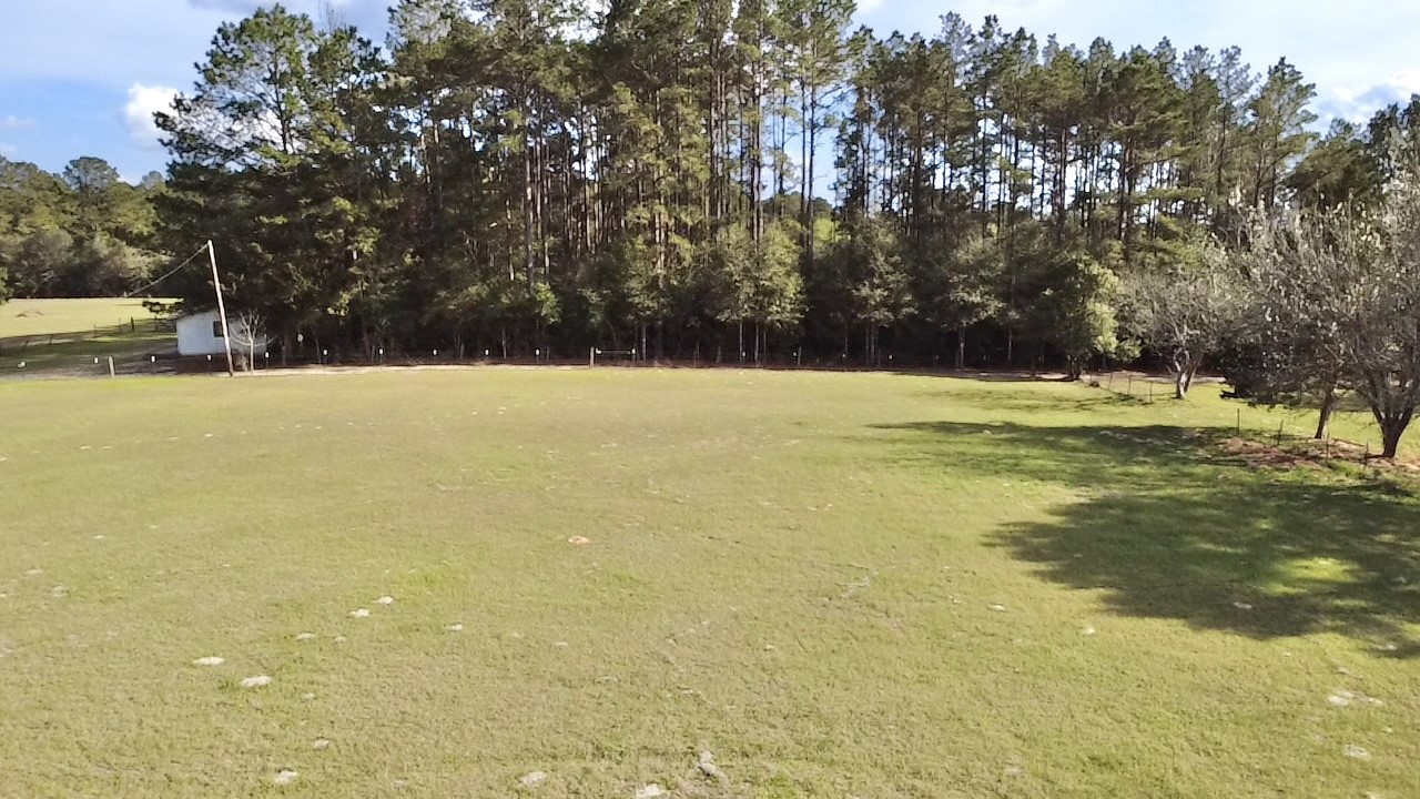 908 North Pitzer Street Colmesneil, TX 75938 - Photo 34 of 35