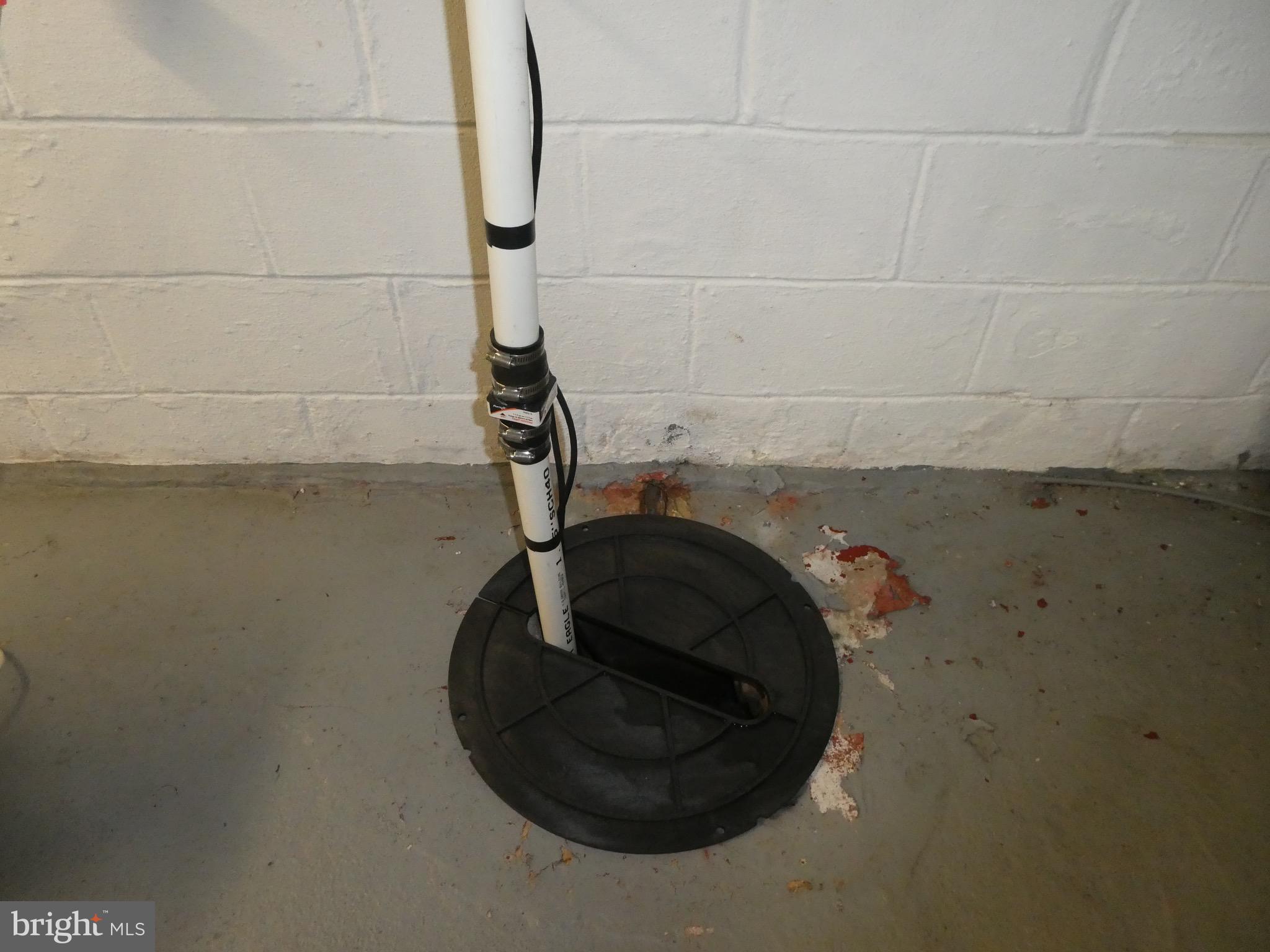 4024 Essex Road Baltimore, MD 21207 - Photo 24 of 44 Basement Sump Pump