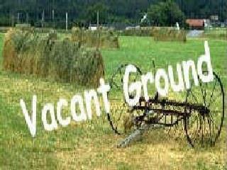 0 South Mcclellan Road Drexel, MO 64742 - Photo 1 of 1