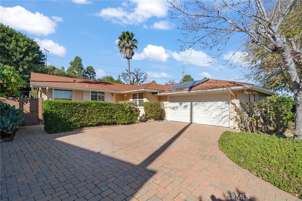 a view of a backyard with potted plants