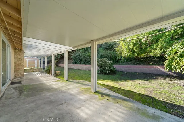 a view of backyard with large trees and plants