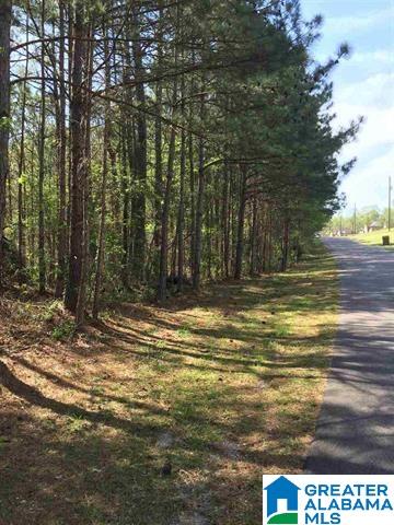 1331 Cedar Creek Road, Unit 4 ACRES Odenville, AL 35120 - Photo 19 of 20