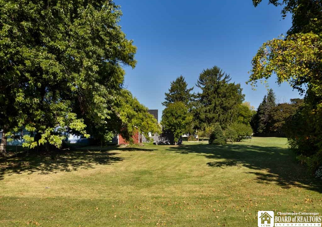 115 Nevins Street Dunkirk, NY 14048 - Photo 7 of 34 backyard view