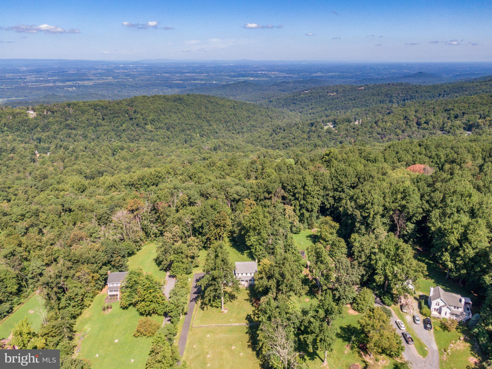 3221 Freezeland Road Linden, VA 22642 - Photo 8 of 53 Gallery Image 8